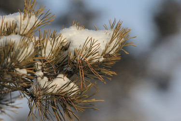 Similar image 1046479