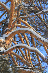 Similar image 1046481