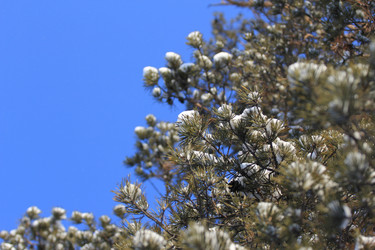 Similar image 1046485