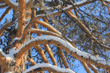 Similar image 1046486