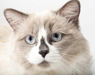 Similar image 1046511