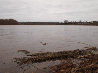 Similar image 1046534