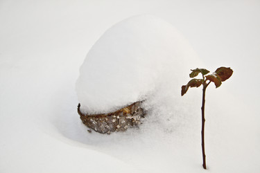 Similar image 1046542