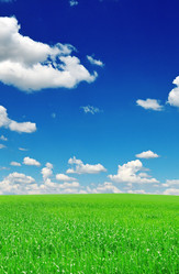 Similar image 1046632