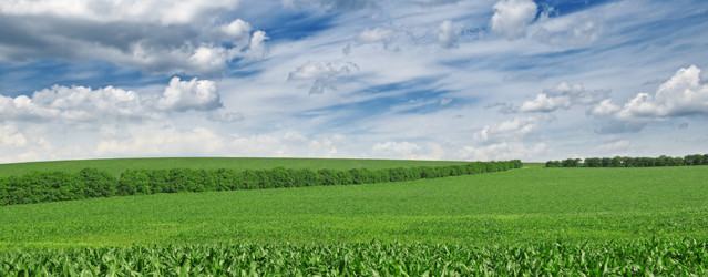 Similar image 1046634