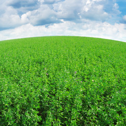 Similar image 1046638