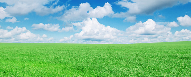 Similar image 1046639