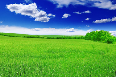 Similar image 1046641