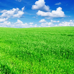 Similar image 1046642