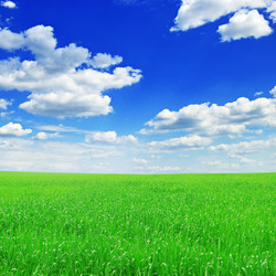 Similar image 1046643