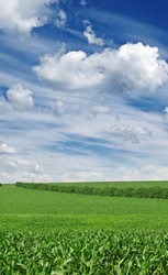 Similar image 1046645