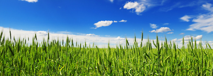 Similar image 1046646