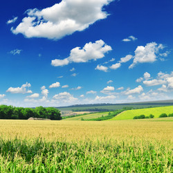 Similar image 1046648