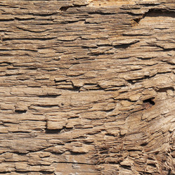 Similar image 1046671