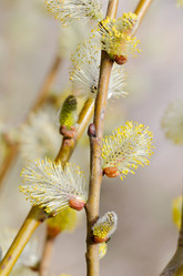 Similar image 1046689