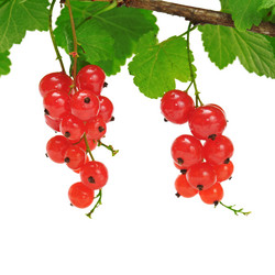 Similar image 1046703