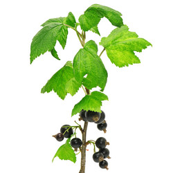 Similar image 1046704