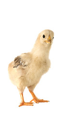 Similar image 1046724