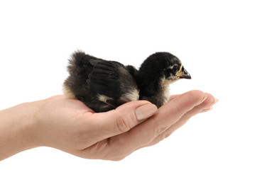 Similar image 1046734