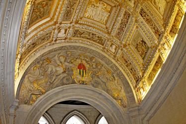 Similar image 1046739