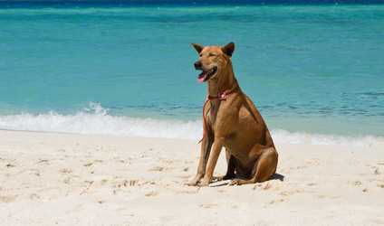 Similar image 1046769