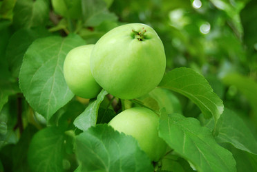 Similar image 1046770