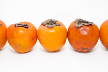 Similar image 1046775