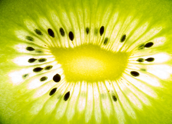 Similar image 1046864