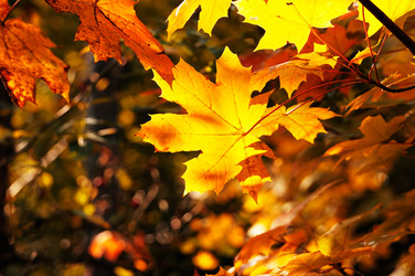 Similar image 1046923