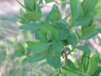 Similar image 1046929