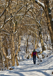 Similar image 1046954