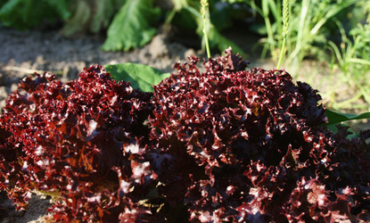 Similar image 1047000