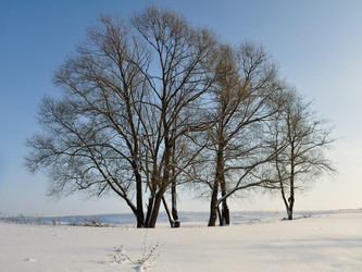 Similar image 1047068