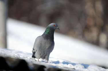 Similar image 1047137