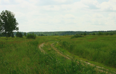 Similar image 1047206