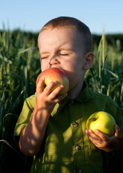 Similar image 1047323