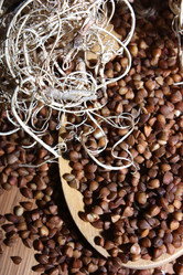 Similar image 1047433