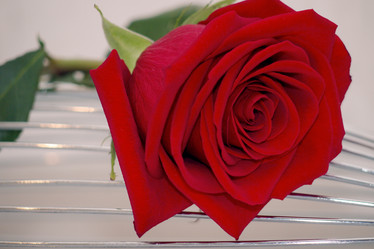 Similar image 1047442