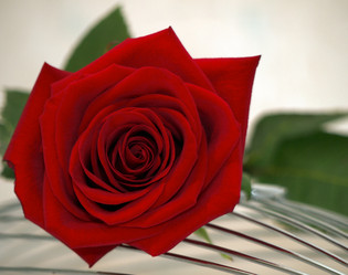 Similar image 1047447