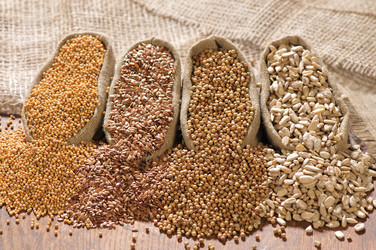 Similar image 1047585