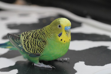 Similar image 1047598