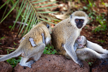 Similar image 1047815