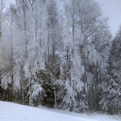 Similar image 1047901