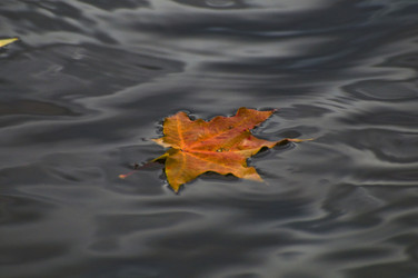 Similar image 1048052