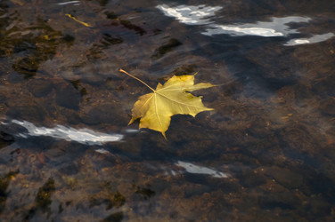 Similar image 1048054