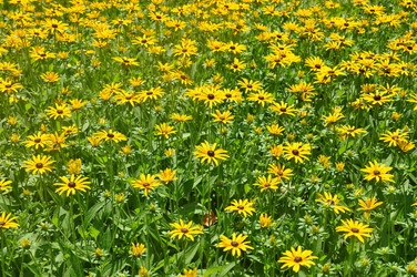 Similar image 1048055