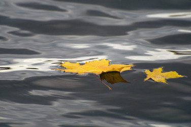 Similar image 1048057