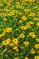 Similar image 1048062