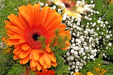 Similar image 1048074