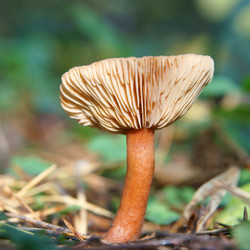 Similar image 1048085